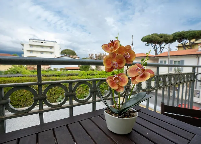 Appartement Vacation With 3 Separate And Private Parking *