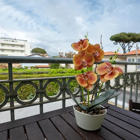 Appartement Vacation With 3 Separate And Private Parking *