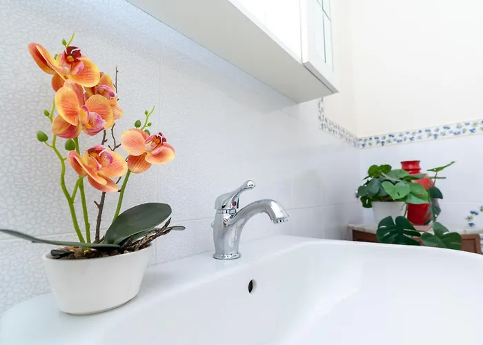 Apartment Vacation With 3 Separate And Private Parking *