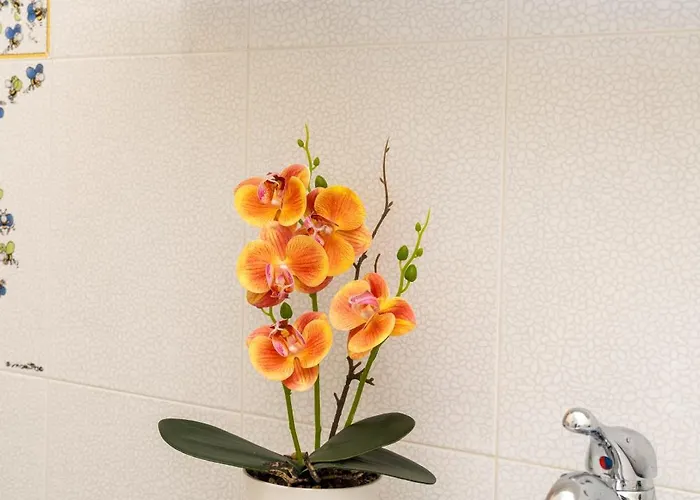 Vacation With 3 Separate And Private Parking * Marina di Pietrasanta