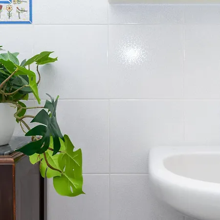 Apartment Vacation With 3 Separate And Private Parking